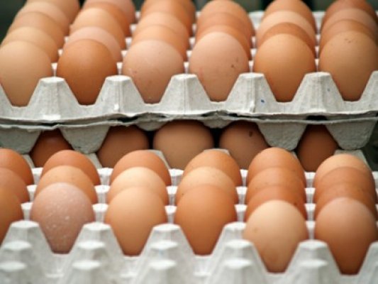 Alertă alimentară: Ouă cu salmonella